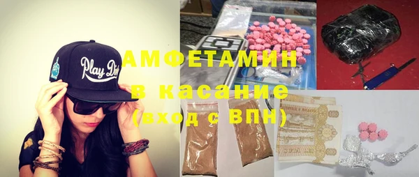 гидра Тавда