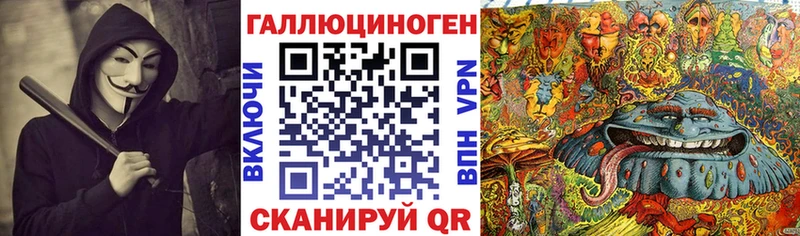 omg вход  Зея  Псилоцибиновые грибы мицелий 